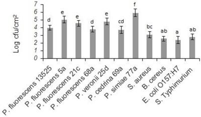 Pseudomonas fluorescens group bacterial strains interact differently with pathogens during dual-species biofilm formation on stainless steel surfaces in milk